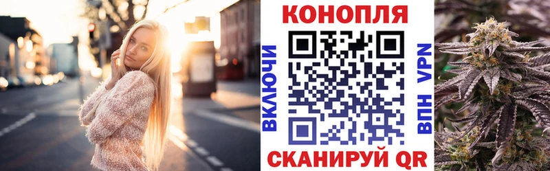 Виды наркоты Бердск MEGA Псилоцибиновые грибы Гашиш Меф A-PVP