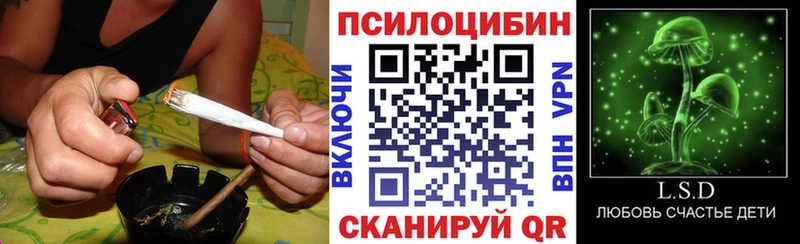 Псилоцибиновые грибы мицелий  где найти   Бердск 